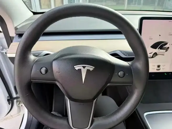 2021 Model Y Long Range All-Wheel Drive Edition 10