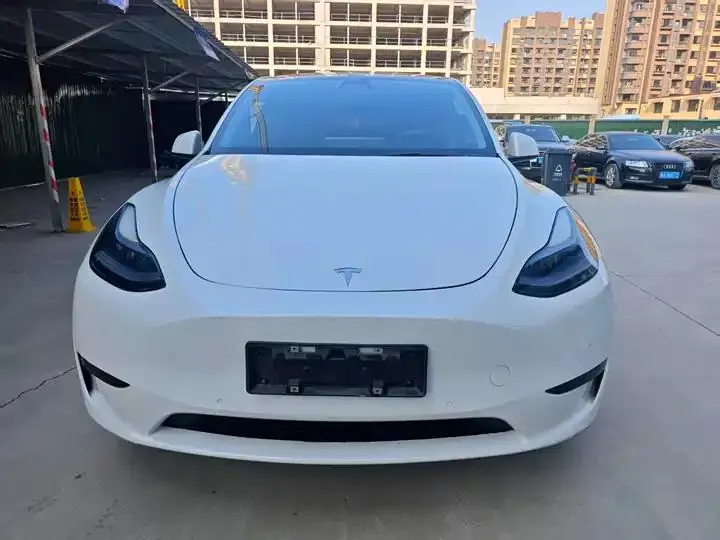 2021 Model Y Long Range All-Wheel Drive Edition 2