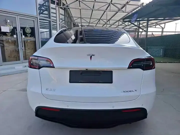 2021 Model Y Long Range All-Wheel Drive Edition 4