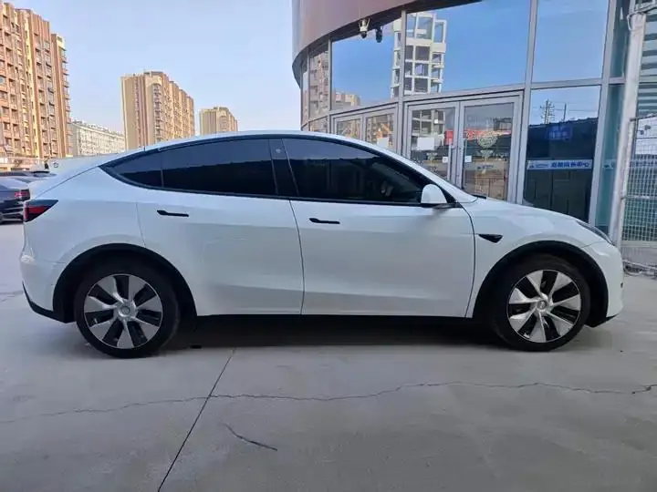 2021 Model Y Long Range All-Wheel Drive Edition 6