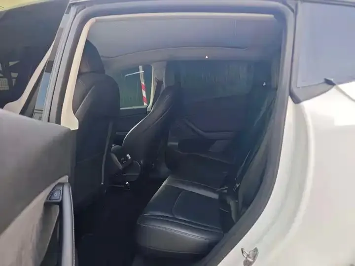 2021 Model Y Long Range All-Wheel Drive Edition 8