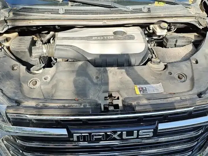 MAXUS MAXUS G20 2020 2.0T Gasoline Auto Deluxe Edition 10