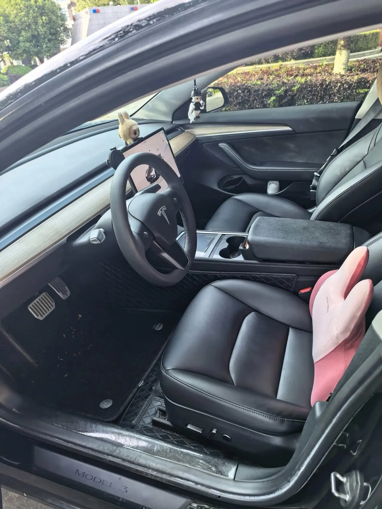 Model 3 2022 rear-wheel drive version 5