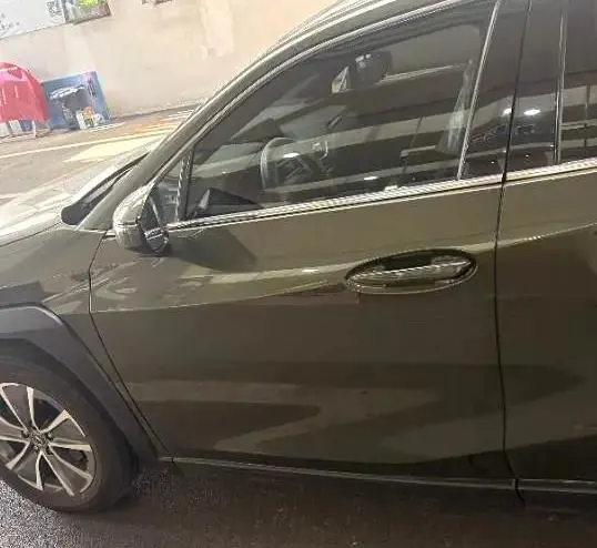 Lexus UX New Energy 2020 300e Pure Yue Edition 2