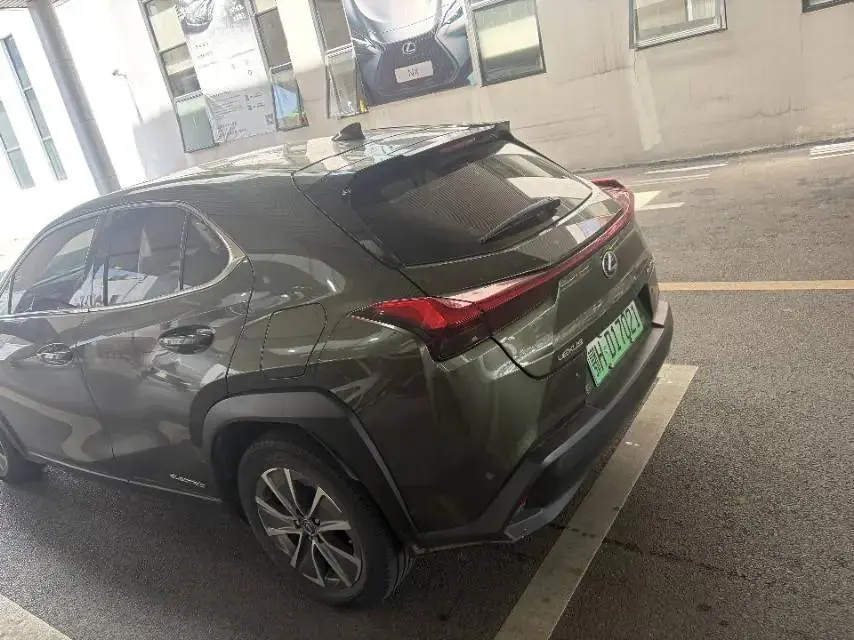 Lexus UX New Energy 2020 300e Pure Yue Edition 4