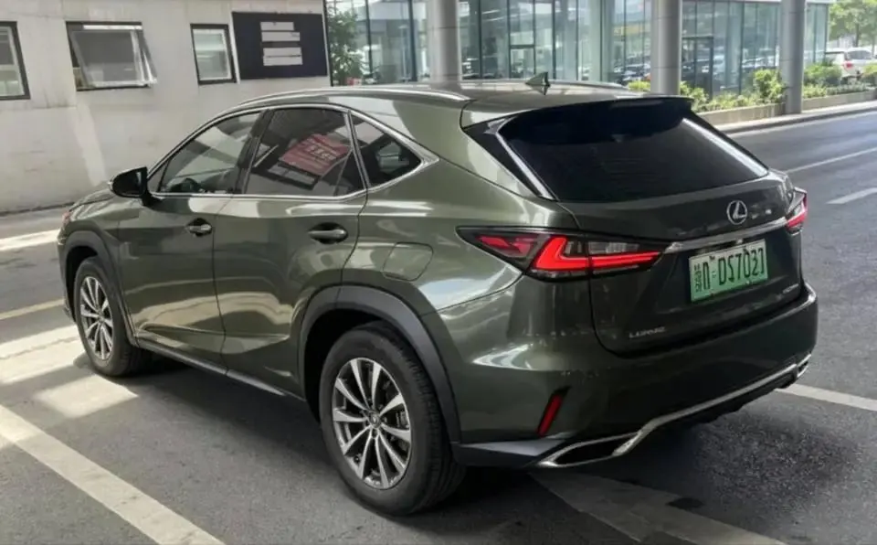 Lexus UX New Energy 2020 300e Pure Yue Edition 6