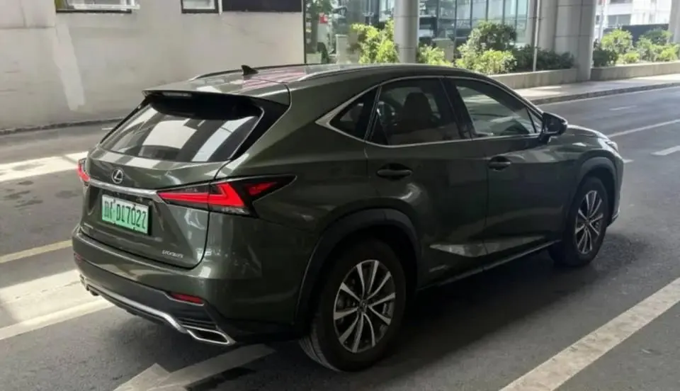 Lexus UX New Energy 2020 300e Pure Yue Edition 7