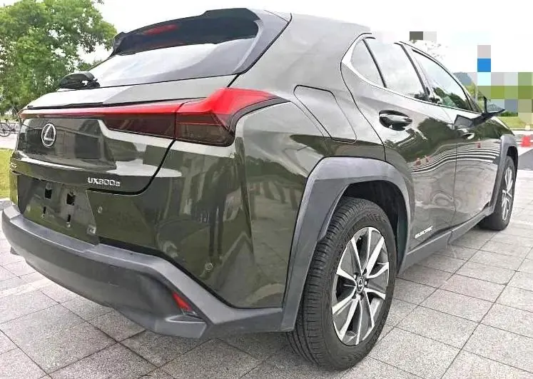 Lexus UX New Energy 2020 300e Pure Yue Edition 8