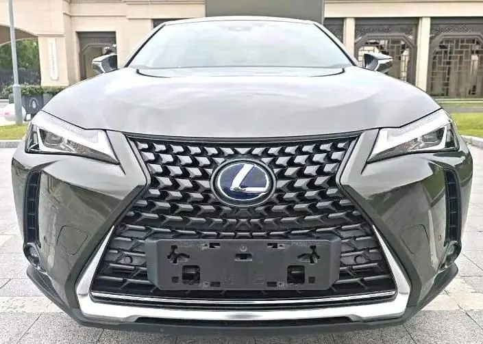 Lexus UX New Energy 2020 300e Pure Yue Edition 9