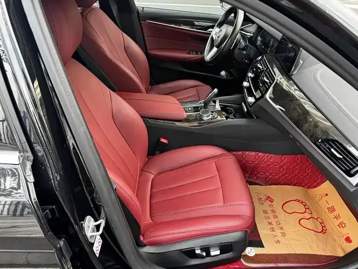 BMW 5 Series 2020 530Li Leading M Sports Suit 15