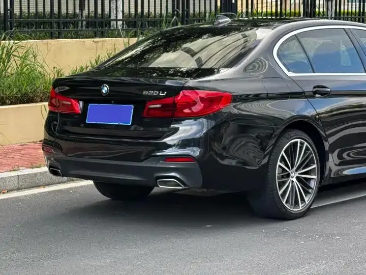 BMW 5 Series 2020 530Li Leading M Sports Suit 19