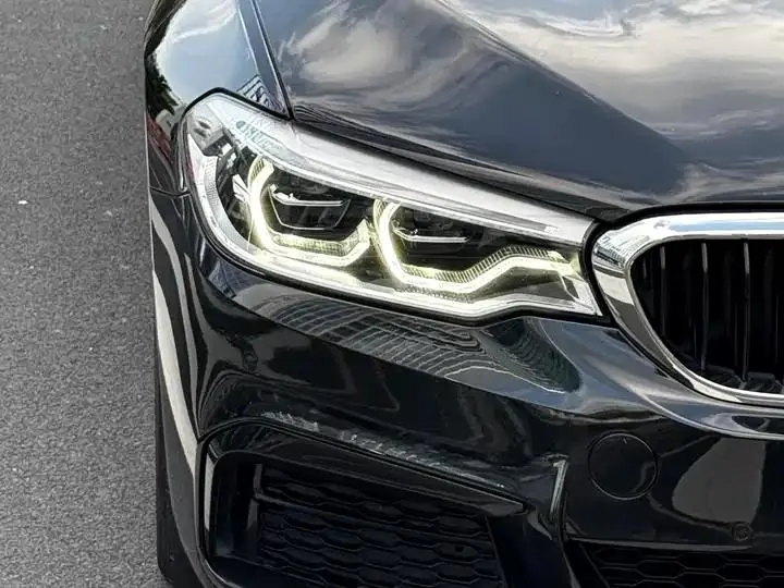 BMW 5 Series 2020 530Li Leading M Sports Suit 2