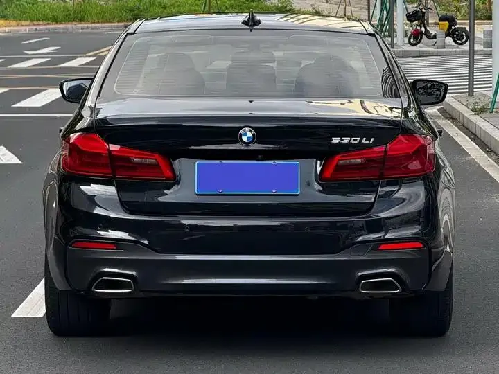 BMW 5 Series 2020 530Li Leading M Sports Suit 20