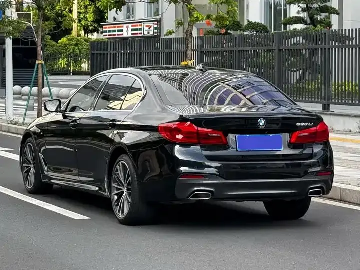 BMW 5 Series 2020 530Li Leading M Sports Suit 21