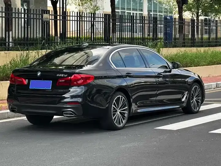 BMW 5 Series 2020 530Li Leading M Sports Suit 22