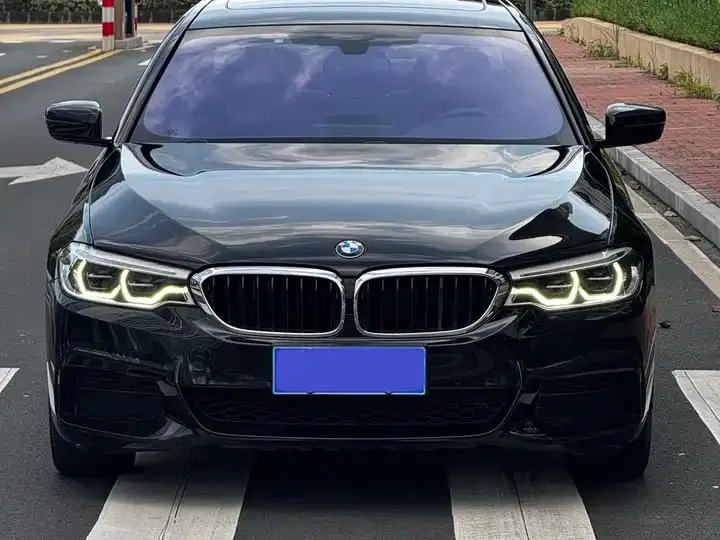 BMW 5 Series 2020 530Li Leading M Sports Suit 3