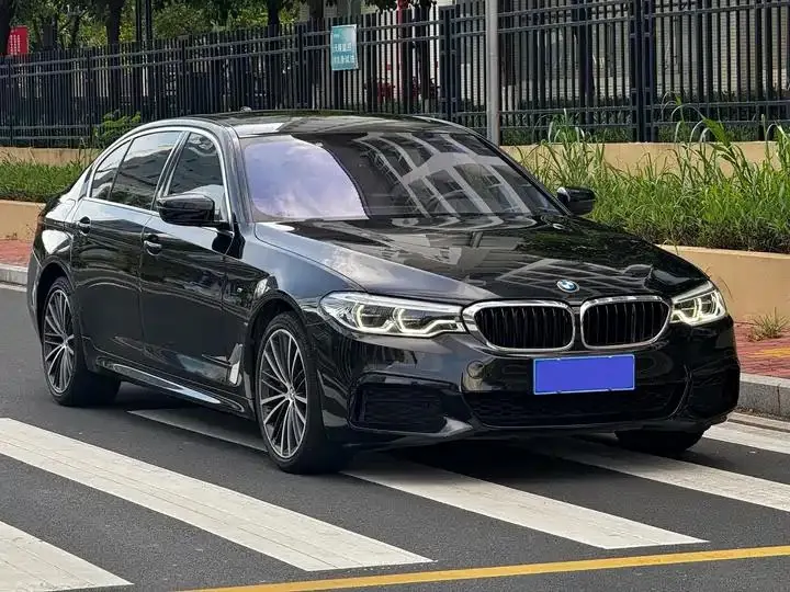 BMW 5 Series 2020 530Li Leading M Sports Suit 4
