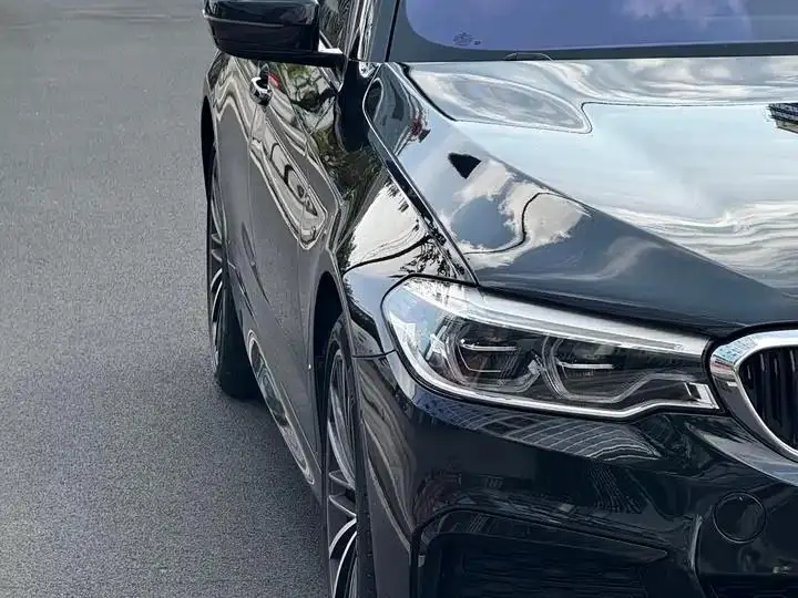 BMW 5 Series 2020 530Li Leading M Sports Suit 5