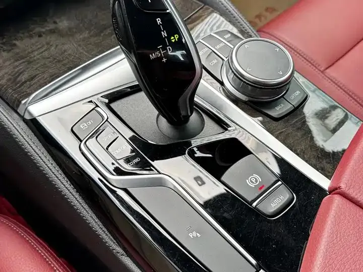 BMW 5 Series 2020 530Li Leading M Sports Suit 7