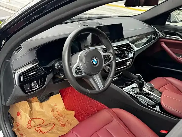 BMW 5 Series 2020 530Li Leading M Sports Suit 8