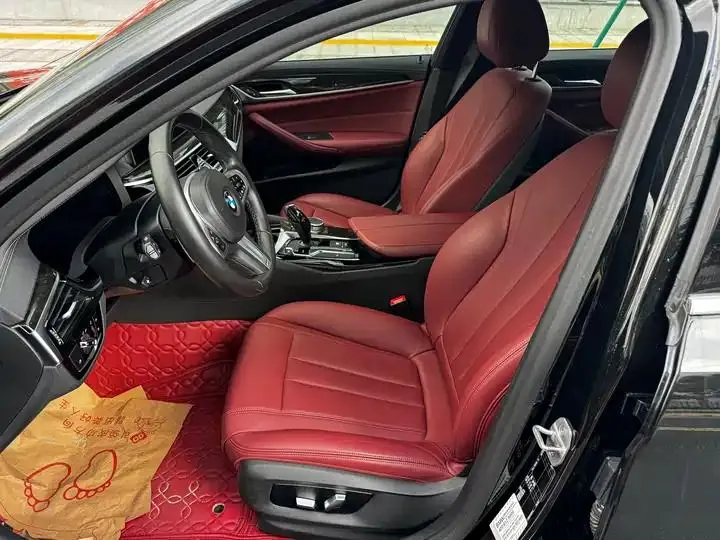 BMW 5 Series 2020 530Li Leading M Sports Suit 9