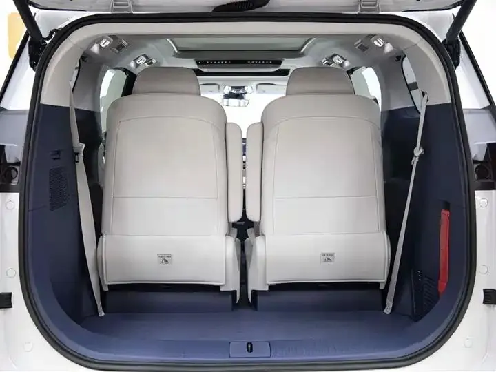 Buick GL8 New Energy 2024 Lu Zun Luxury Edition 6 7