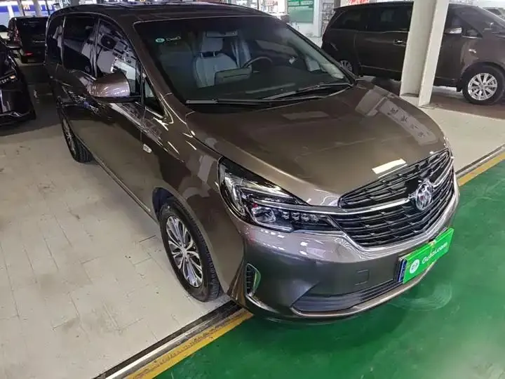 Buick GL8 2021 Land Business Class 652T Luxury Model 4