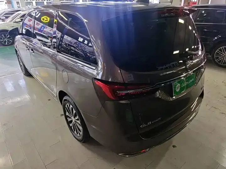 Buick GL8 2021 Land Business Class 652T Luxury Model 5