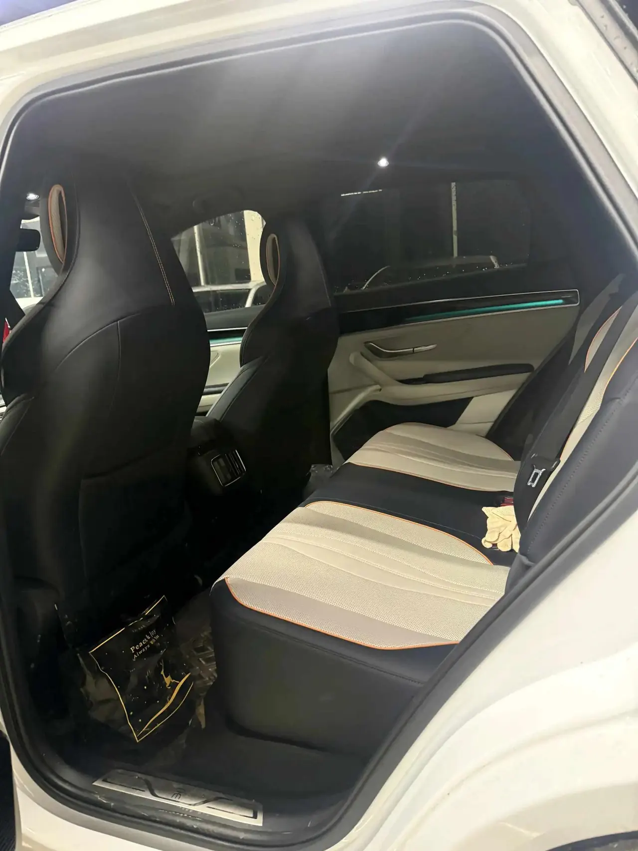 Song Pro New Energy 2022 DM-i 110km Flagship 3