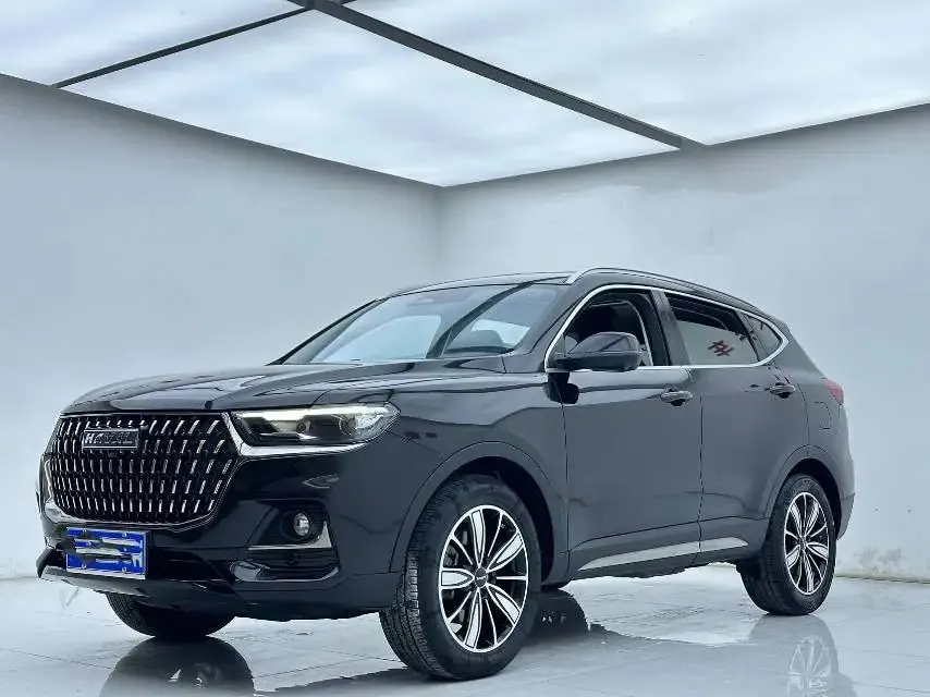 Haval 2023 H6 1.5T National Trend Edition Champion Edition Automatic - View 1