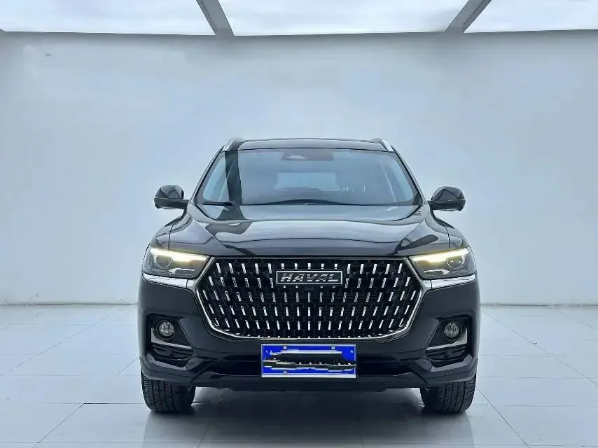 Haval 2023 H6 1.5T National Trend Edition Champion Edition Automatic 2
