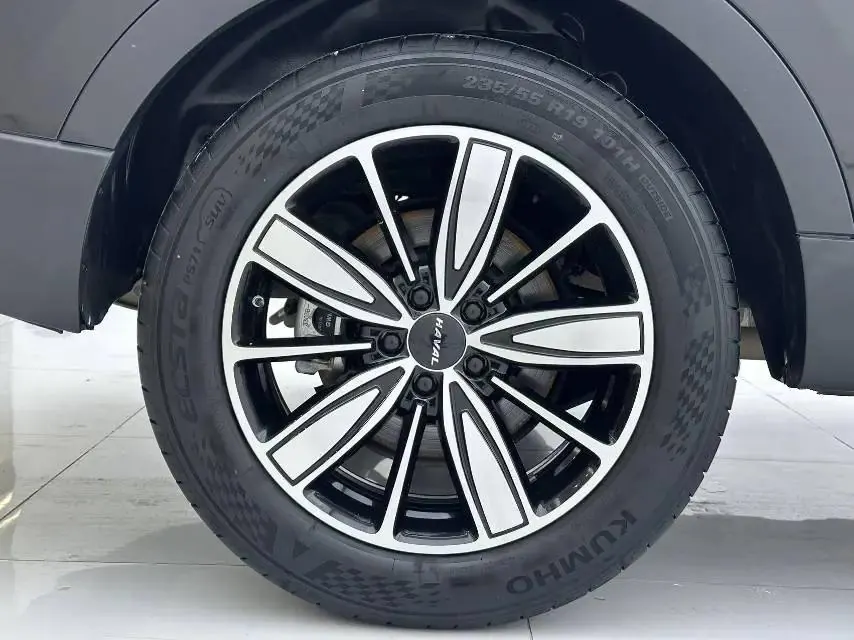 Haval 2023 H6 1.5T National Trend Edition Champion Edition Automatic 25