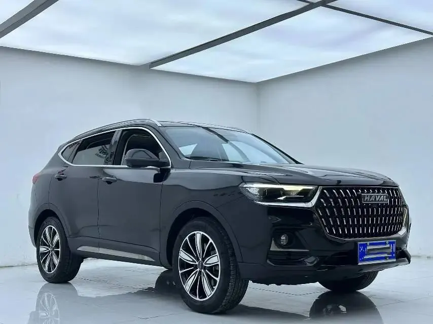 Haval 2023 H6 1.5T National Trend Edition Champion Edition Automatic 3