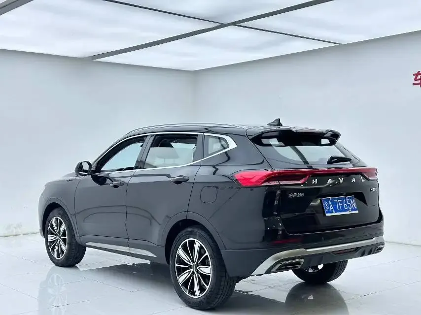 Haval 2023 H6 1.5T National Trend Edition Champion Edition Automatic 4