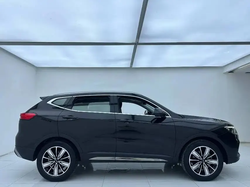 Haval 2023 H6 1.5T National Trend Edition Champion Edition Automatic 5