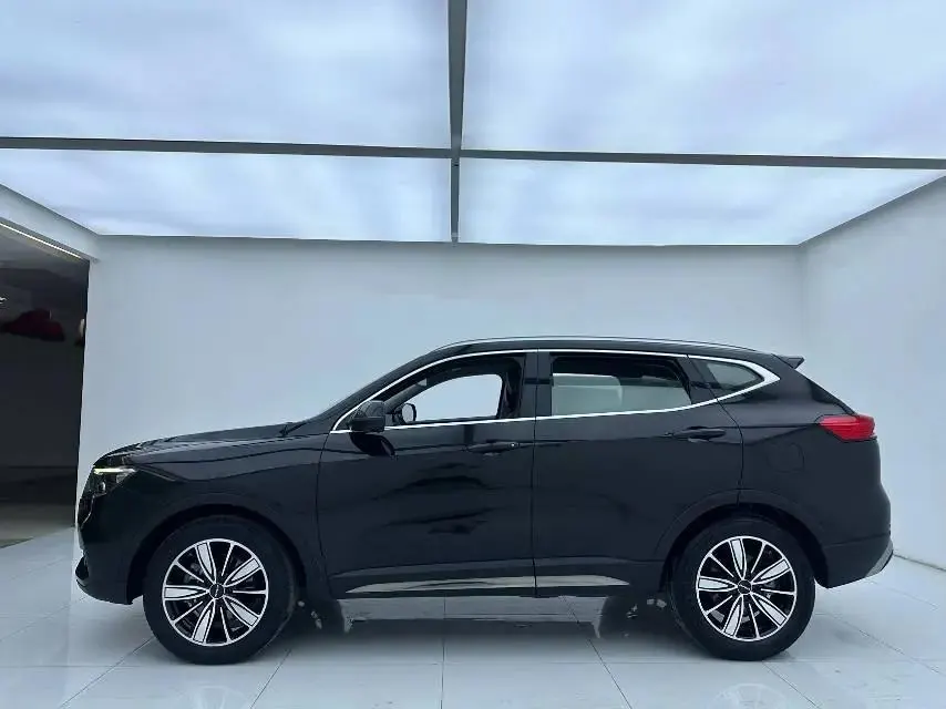 Haval 2023 H6 1.5T National Trend Edition Champion Edition Automatic 6