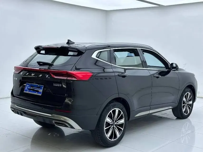 Haval 2023 H6 1.5T National Trend Edition Champion Edition Automatic 7
