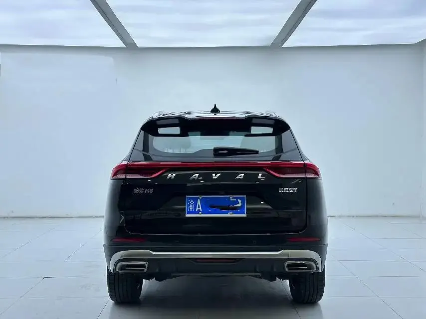 Haval 2023 H6 1.5T National Trend Edition Champion Edition Automatic 8