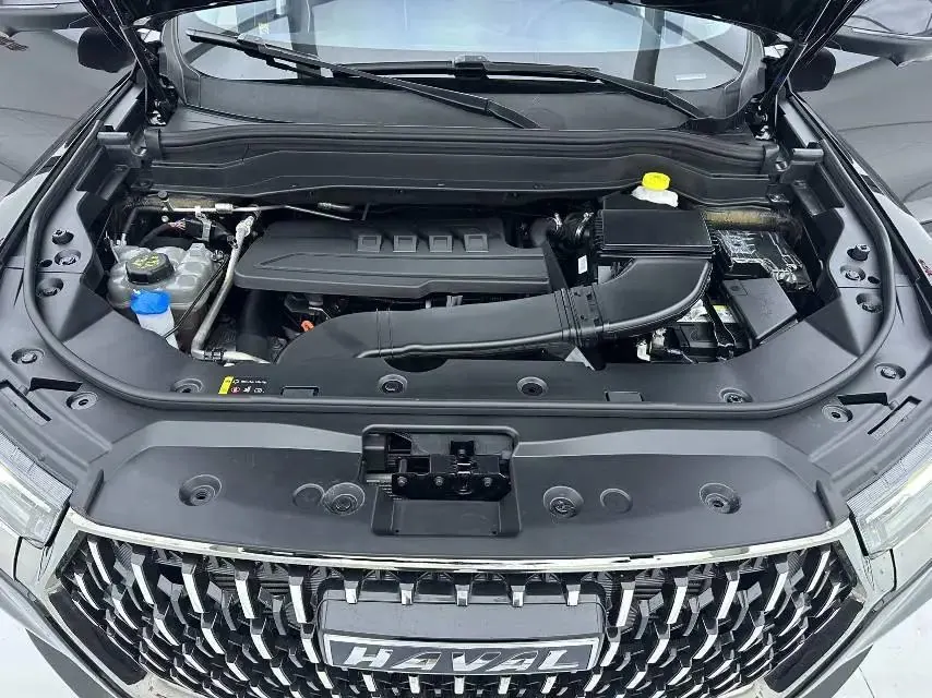 Haval 2023 H6 1.5T National Trend Edition Champion Edition Automatic 9