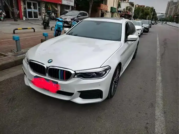 BMW 5 Series 2020 model 530Li Luxury Edition M Sport Package - View 1
