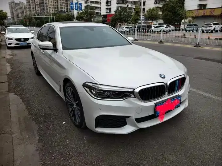 BMW 5 Series 2020 model 530Li Luxury Edition M Sport Package 3