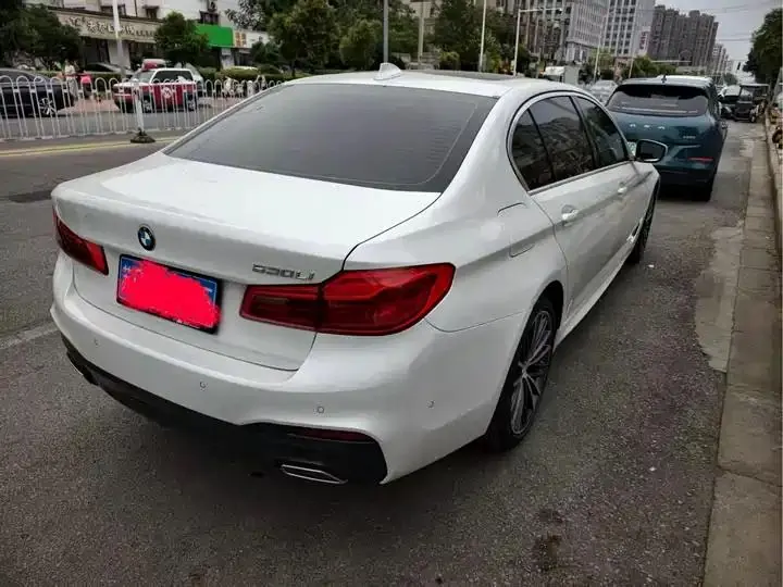 BMW 5 Series 2020 model 530Li Luxury Edition M Sport Package 4
