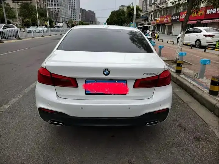 BMW 5 Series 2020 model 530Li Luxury Edition M Sport Package 5