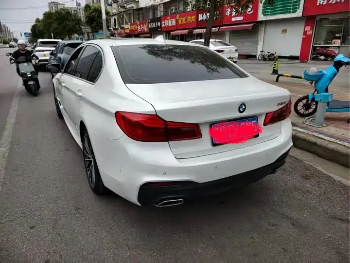 BMW 5 Series 2020 model 530Li Luxury Edition M Sport Package 6