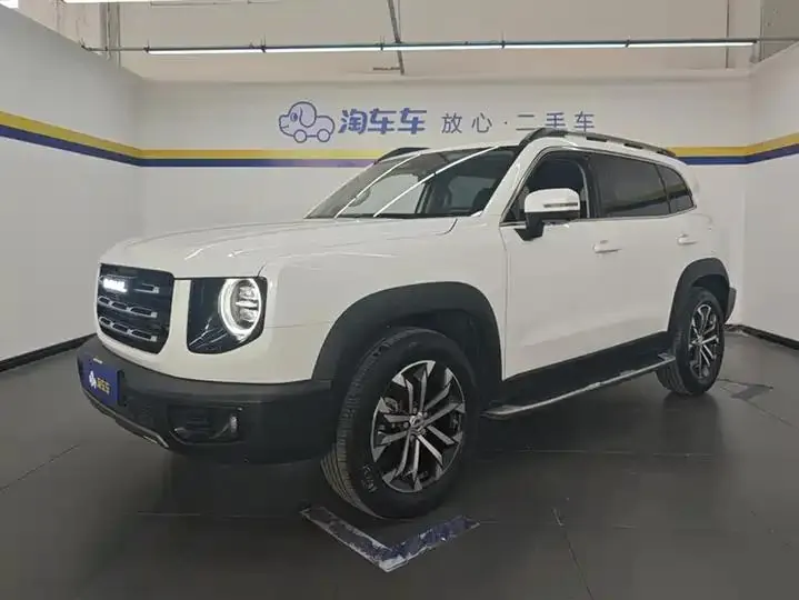 Haval Big Dog 2021 1.5T DCT Two-Wheel-Drive Border Collie Edition - View 1