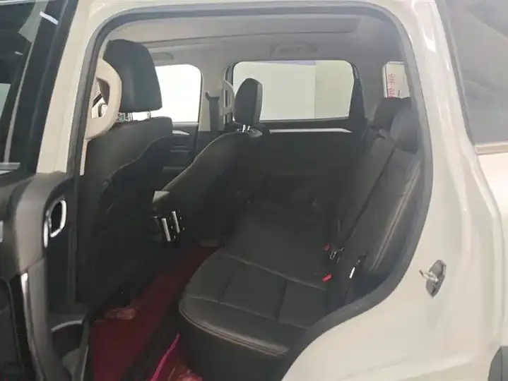 Haval Big Dog 2021 1.5T DCT Two-Wheel-Drive Border Collie Edition 11