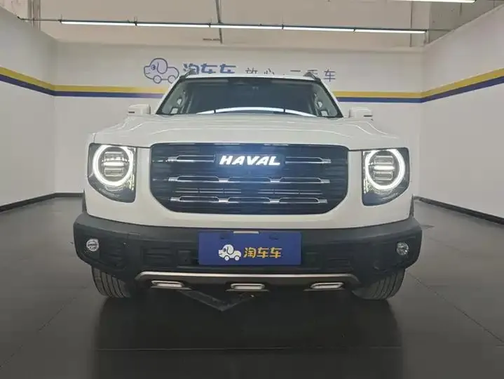 Haval Big Dog 2021 1.5T DCT Two-Wheel-Drive Border Collie Edition 2