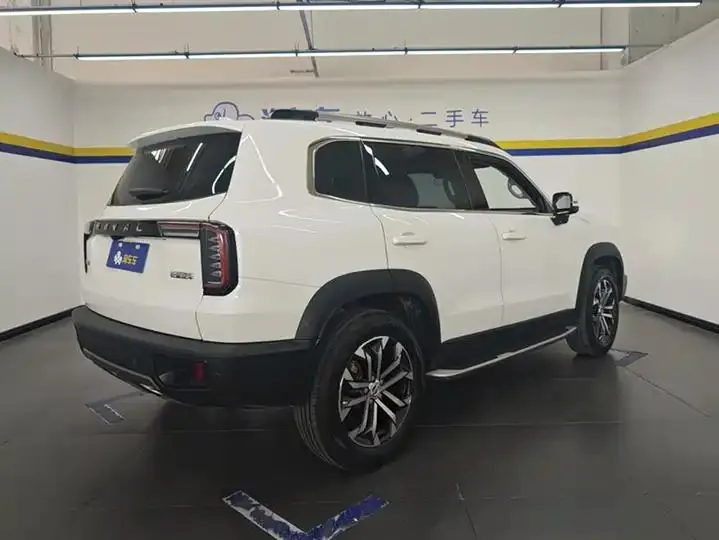 Haval Big Dog 2021 1.5T DCT Two-Wheel-Drive Border Collie Edition 3