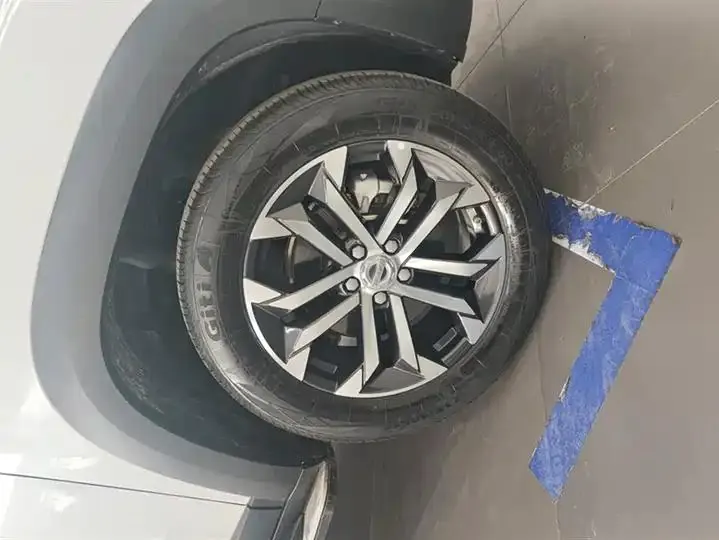 Haval Big Dog 2021 1.5T DCT Two-Wheel-Drive Border Collie Edition 6
