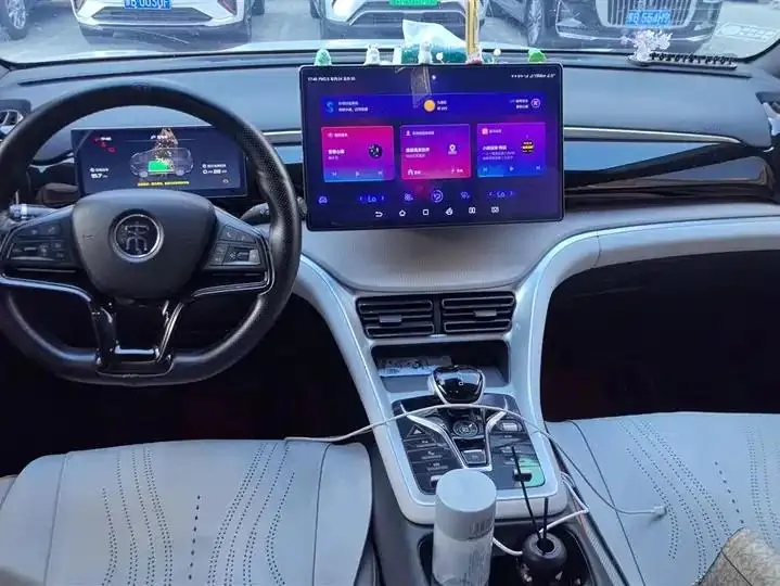 Song Pro New Energy 2024 Glory Edition DM-i 110KM Excellence 12